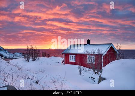 Red hut in a winter landscape in front of the sea, strong sunrise with clouds behind, Hamnoy, Lofoten, Norway, Europe Stock Photo