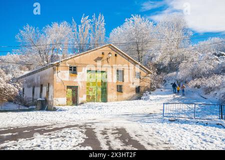 Snowfall. Somosierra, Madrid province, Spain. Stock Photo