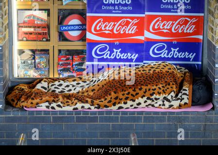 Rough sleeper, homeless person, in a shop window under a bridge, London Stock Photo