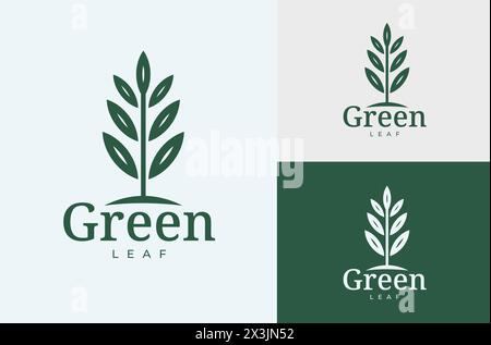 Simple Design Green Leaf Stem Illustration can be used for beauty shops Stock Vector