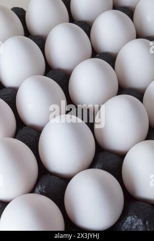 Fresh white chicken eggs in a black cardboard boxes. Creative copy space top view Stock Photo