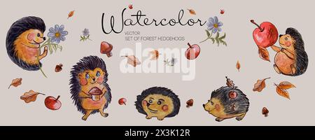 Watercolor set of vector illustration. Forest hedgehog, apples autumn leaves Cute fairy hedgehogs Stock Vector