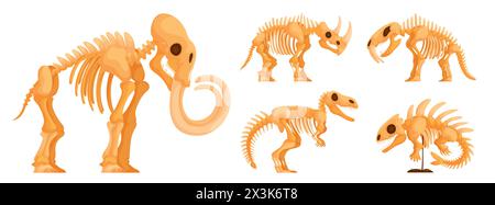 Set of dinosaur skeletons. Collection of skeletons of dinosaurs, mammoth, sabertooth, Ichthyostegalidae, rhinoceros and Trex, fossils, side view Stock Vector