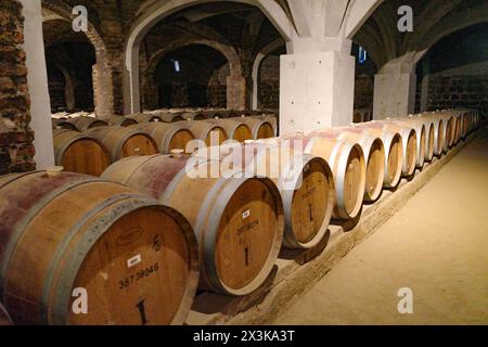 Santiago, Chile - 25 Nov, 2023: Wine Bottles and Barrels in storage at the historic Santa Rita Vineyards Stock Photo