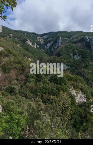 View of vegetation on rocky hillside at hiking trail Sentiero degli Dei or Path of the Gods at the Amalfi Coast, Province of Salerno, Campania, Italy Stock Photo