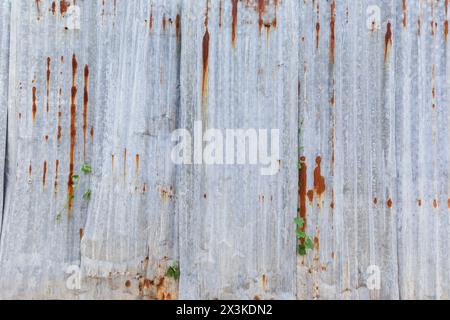 Front view of rusty and corrugated iron metal construction site wall. Abstract high resolution full frame textured background, copy space. Stock Photo