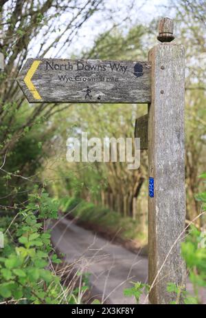 Signposts for the North Downs Way footpath near Wye, Ashford, Kent, UK Stock Photo