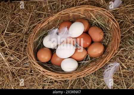 Fresh chicken eggs in wicker basket on dried straw, top view Stock Photo