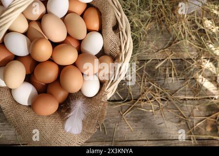 Fresh chicken eggs in wicker basket and dried hay on wooden table, top view. Space for text Stock Photo