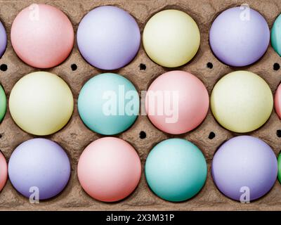 Flat lay Close-up view of variable colored chicken eggs in egg paper box. Stock Photo