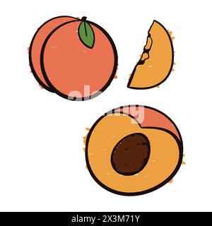 Peach Fruit Drawing Set Vector Peach Scribbles Doodle icons. Peach Vector Stock Vector