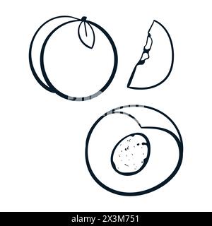 Peach Fruit Drawing Set Vector Peach Scribbles Doodle icons. Peach Vector Stock Vector