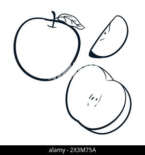 Apple Fruit Drawing Set Vector Apple Scribbles Doodle icons. Apple Vector Stock Vector