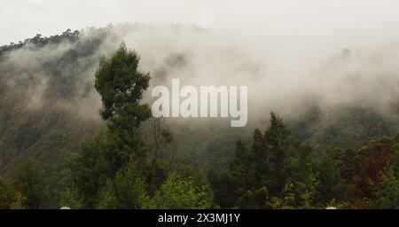 monsoon clouds gathering over palani hills, part of western ghats mountains range, wildernessn of tropical rainforest, kodaikanal in tamilnadu, india Stock Photo