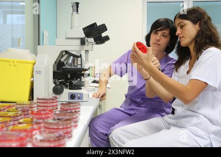 Microscope, General Cultures, Microbiology Department, Donostia Hospital, San Sebastian, Donostia, Gipuzkoa, Basque Country, Spain Stock Photo