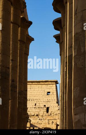Grand Colonnades and Pylon, Luxor Temple, Luxor, Egypt Stock Photo