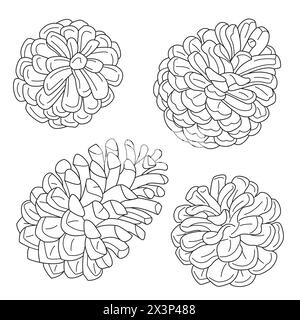 Pine cones vector illustration set. coniferous tree cones. Great for greeting cards, backgrounds, holiday decor. Coloring page for kids and adults. Vector illustration.  Stock Vector