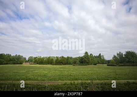 Clearing in a park with shadows of trees casted on the ground seen from behind a trench Stock Photo