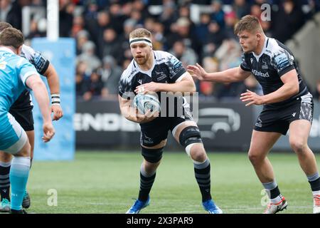 Newcastle, UK. 05th Jan, 2024. Callum Chick of Newcastle Falcons in action during the Gallagher Premiership match between Newcastle Falcons and Sale Sharks at Kingston Park, Newcastle on Sunday 28th April 2024. (Photo: Chris Lishman | MI News) Credit: MI News & Sport /Alamy Live News Stock Photo