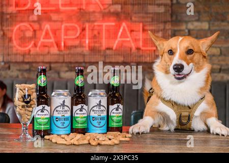 Brewski's Dog Beer Stock Photo