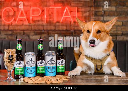 Brewski's Dog Beer Stock Photo