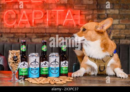 Brewski's Dog Beer Stock Photo