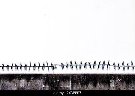 A concrete wall and sharp barbed wire on a perimeter fence Stock Photo