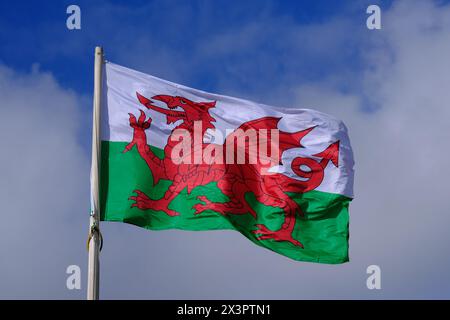 Welsh flag flying on a bright, breezy day Stock Photo