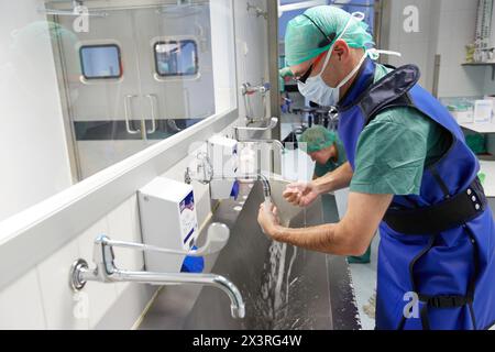 Surgical Scrub, Handwashing, Operating Room, Surgery, Hospital Donostia, San Sebastian, Gipuzkoa, Basque Country, Spain Stock Photo