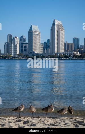 San Diego, CA. April 7, 2024.  lined up against San Diegos skyline with blue sky copy-space Stock Photo