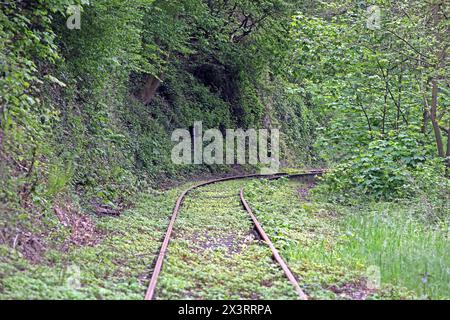 Museumsbahnen in Nordrhein-Westfalen Die Strecke der Hespertalbahn, die eine historische Normalspurbahn zwischen Essen Kupferdreh und Haus Scheppen in Fischlaken ist. Essen Nordrhein-Westfalen Deutschland Kupferdreh *** Museum railroads in North Rhine-Westphalia The route of the Hespertalbahn, which is a historic standard-gauge railroad between Essen Kupferdreh and Haus Scheppen in Fischlaken Essen North Rhine-Westphalia Germany Kupferdreh Stock Photo