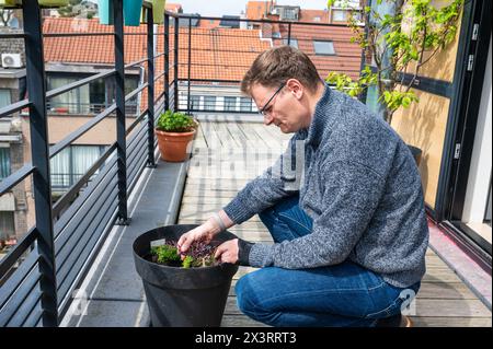 Portrait of a 45 yo white man cultivating plants on his terrace, Brussels, Belgium. Model released. Stock Photo