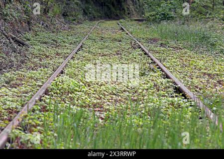 Museumsbahnen in Nordrhein-Westfalen Die Strecke der Hespertalbahn, die eine historische Normalspurbahn zwischen Essen Kupferdreh und Haus Scheppen in Fischlaken ist. Essen Nordrhein-Westfalen Deutschland Kupferdreh *** Museum railroads in North Rhine-Westphalia The route of the Hespertalbahn, which is a historic standard-gauge railroad between Essen Kupferdreh and Haus Scheppen in Fischlaken Essen North Rhine-Westphalia Germany Kupferdreh Stock Photo