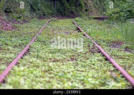 Museumsbahnen in Nordrhein-Westfalen Die Strecke der Hespertalbahn, die eine historische Normalspurbahn zwischen Essen Kupferdreh und Haus Scheppen in Fischlaken ist. Essen Nordrhein-Westfalen Deutschland Kupferdreh *** Museum railroads in North Rhine-Westphalia The route of the Hespertalbahn, which is a historic standard-gauge railroad between Essen Kupferdreh and Haus Scheppen in Fischlaken Essen North Rhine-Westphalia Germany Kupferdreh Stock Photo