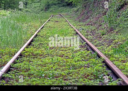 Museumsbahnen in Nordrhein-Westfalen Die Strecke der Hespertalbahn, die eine historische Normalspurbahn zwischen Essen Kupferdreh und Haus Scheppen in Fischlaken ist. Essen Nordrhein-Westfalen Deutschland Kupferdreh *** Museum railroads in North Rhine-Westphalia The route of the Hespertalbahn, which is a historic standard-gauge railroad between Essen Kupferdreh and Haus Scheppen in Fischlaken Essen North Rhine-Westphalia Germany Kupferdreh Stock Photo