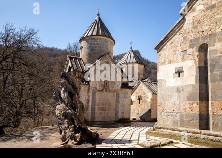 Ancient churches of the Haghartsin monastery and the remains of an old walnut tree. Armenia Stock Photo