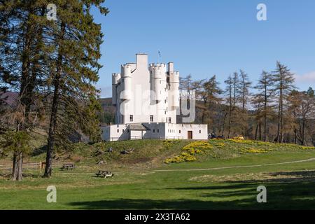 The Grounds of Braemar Castle in the Cairngorms National Park in Spring, with a Colourful Display of Daffodils Stock Photo