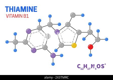 Thiamine Vitamin B1 Molecule Structure Illustration Stock Vector