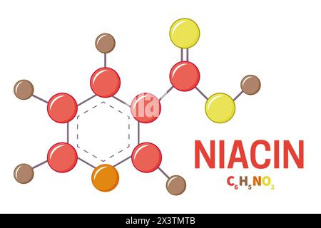 Niacin or Vitamin B3 Molecule Structure Illustration Stock Vector