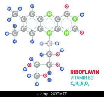 Riboflavin Vitamin B2 Molecule Structure Formula Illustration Stock Vector