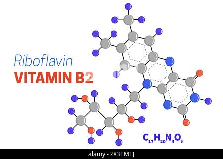 Riboflavin or Vitamin B2 Molecule Structure Formula Illustration Stock Vector