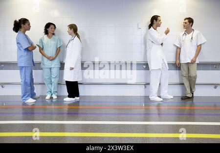 Doctors and nurses in the department of medical imaging for diagnosis Stock Photo