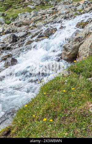 Waterfall and wildflowers on a meadow Stock Photo