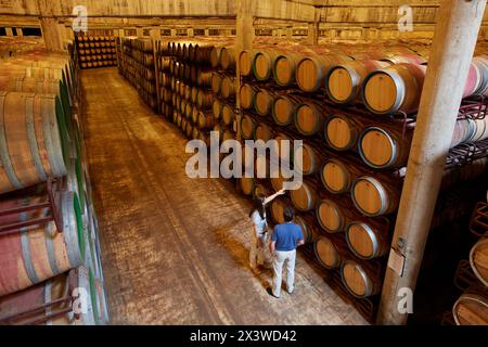 Wine cellar, Aging wine storage in barrels , Olarra winery, Rioja, LogroÒo, Spain Stock Photo