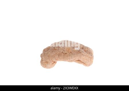 Tianma is isolated on a white background, with Chinese herbal medicine Stock Photo