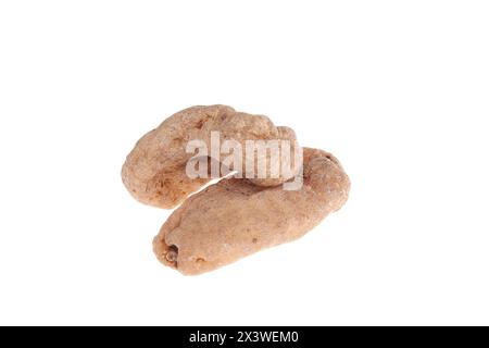 Tianma is isolated on a white background, with Chinese herbal medicine Stock Photo