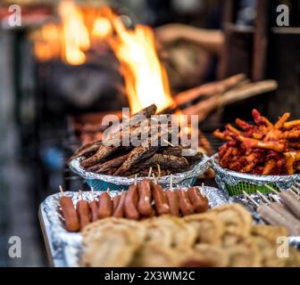 Freshly fried fish, sausages and deep fried chicken feet near the fire on the Nepalese street market Stock Photo