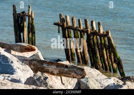 Wooden groynes and rock armour coastal defences Stock Photo