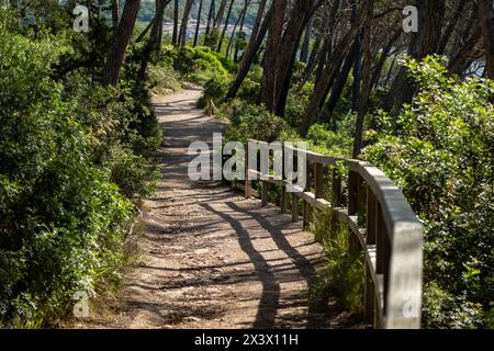 Punta De Ses Gatoves route, Mondragó Natural Park, Santanyí municipal area, Mallorca, Balearic Islands, Spain Stock Photo