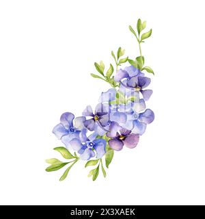 Floral arrangement of blue spring flowers watercolor illustration isolated on white. Composition of periwinkle flowers hand drawn. Blue forget-me-not Stock Photo